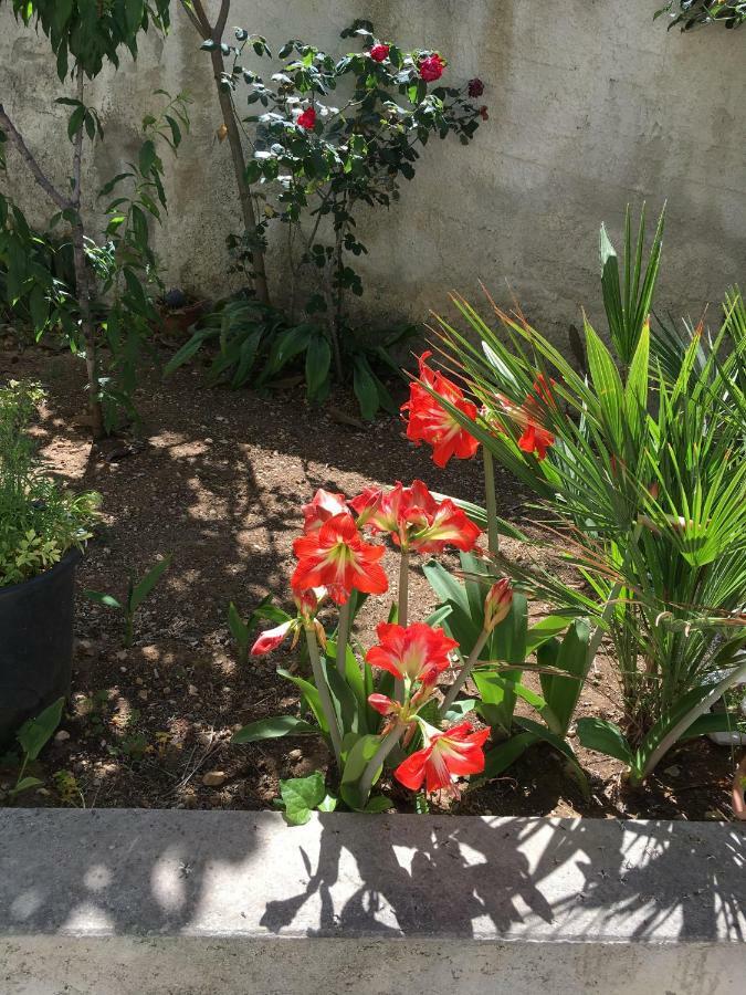 Casa Vacanza Demi Алкамо Марина Екстериор снимка